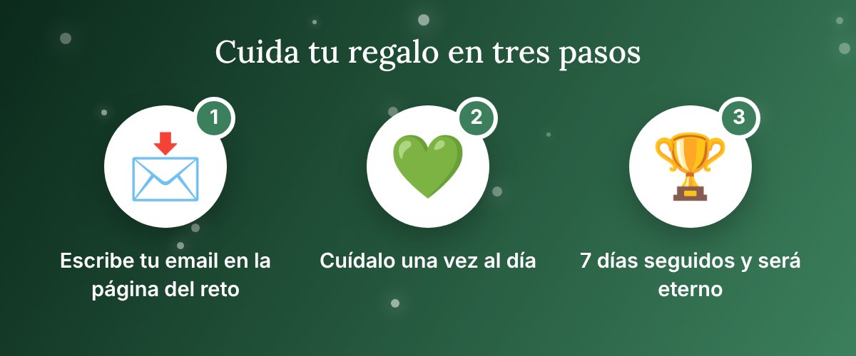 Tres pasos para el reto Cuida tu regalo: escribe tu email, cuídalo una vez al día y completa 7 días seguidos